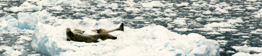 even ademhappen aan het oppervlak